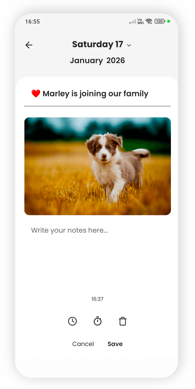 dairoo daily journal entry